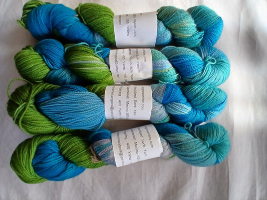 Parrot Fish | Hand dyed Variegated Merino Nylon Yarn | Fingering/ Sock Yarn image 0