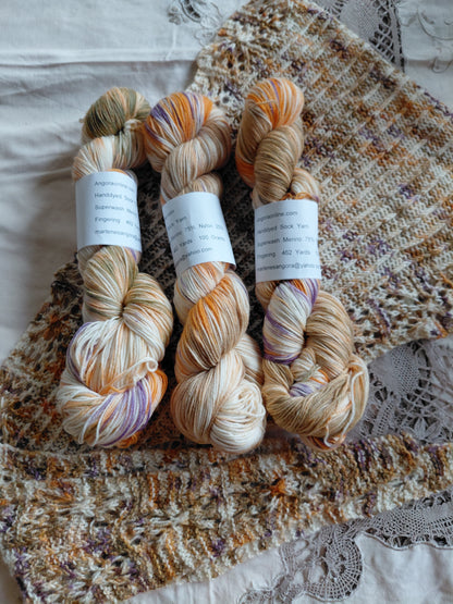 Our Rhynebeck 2025 colorway Hand-Dyed Sock Yarn - Superwash Merino