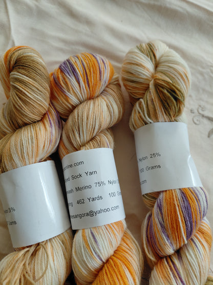 Our Rhynebeck 2025 colorway Hand-Dyed Sock Yarn - Superwash Merino