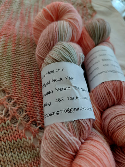 Desert Bloom colorway Hand-Dyed Fingering Weight Yarn - 75% Superwash Merino 25% Nylon