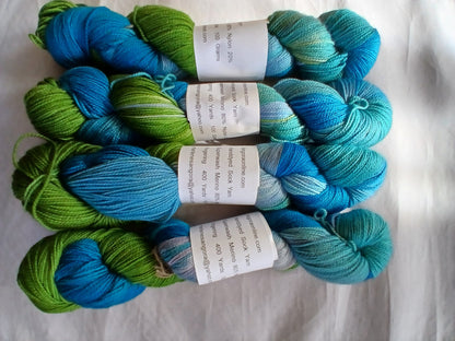 Parrot Fish | Hand dyed Variegated Merino Nylon Yarn | Fingering/ Sock Yarn image 1