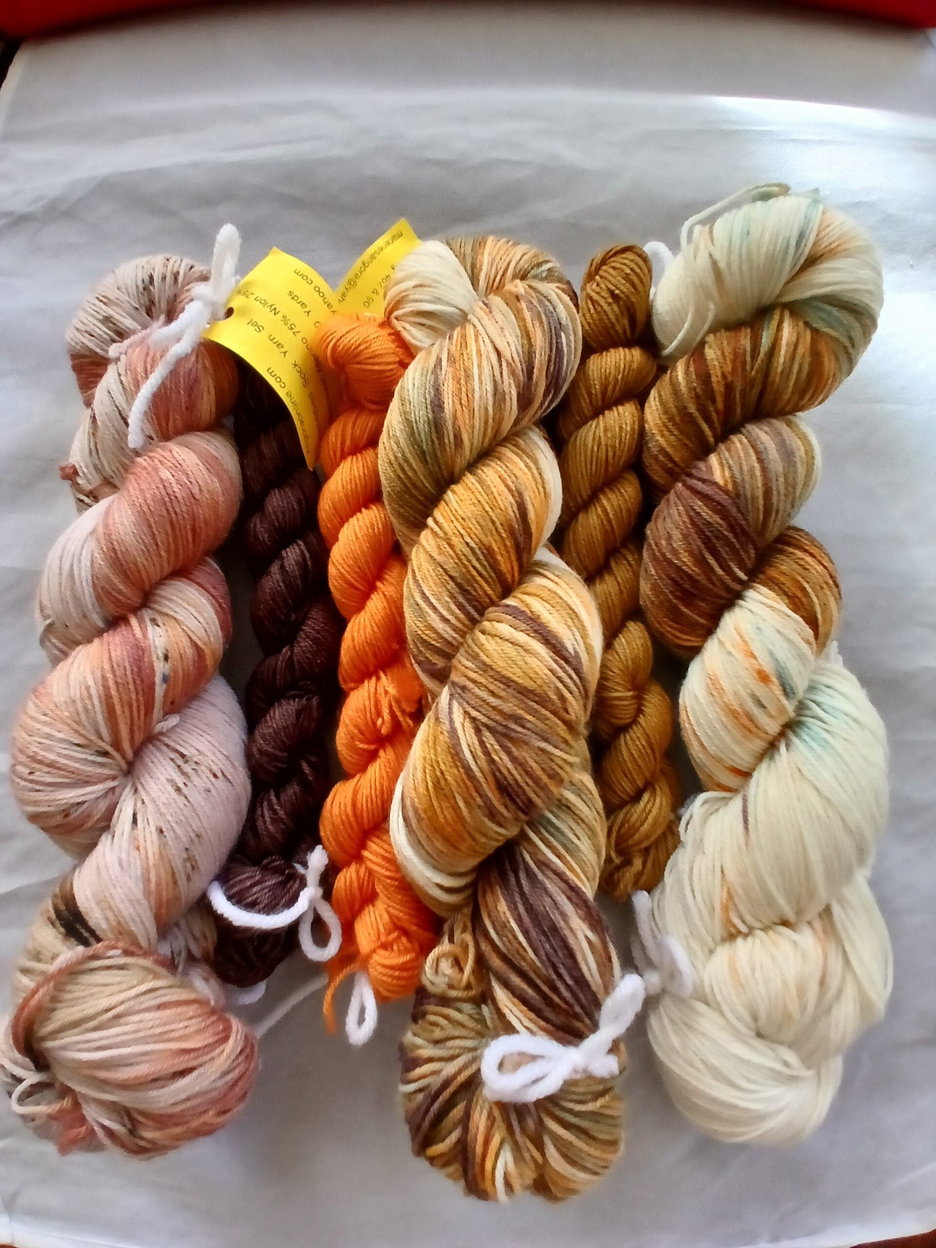 Harvest Day Sock Yarn Set - Hand dyed Yarn Fingering Yarn image 1