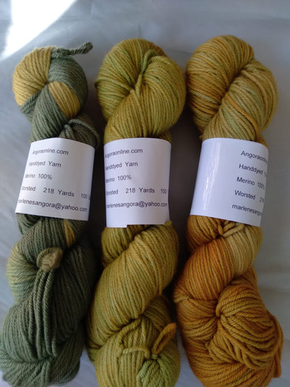 Hand Dyed SW Merino Yarn, Worsted, 218 yd. image 1