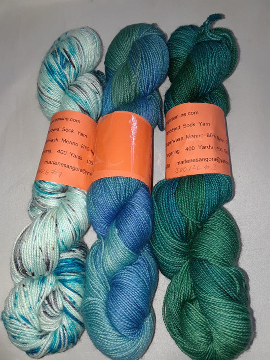 Hand dyed Sock Yarn SW Merino Nylon Yarn image 0
