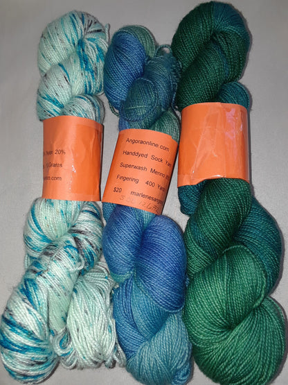 Hand dyed Sock Yarn SW Merino Nylon Yarn image 1